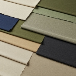 Duck Canvas