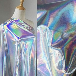 Shiny Elastic Fabric